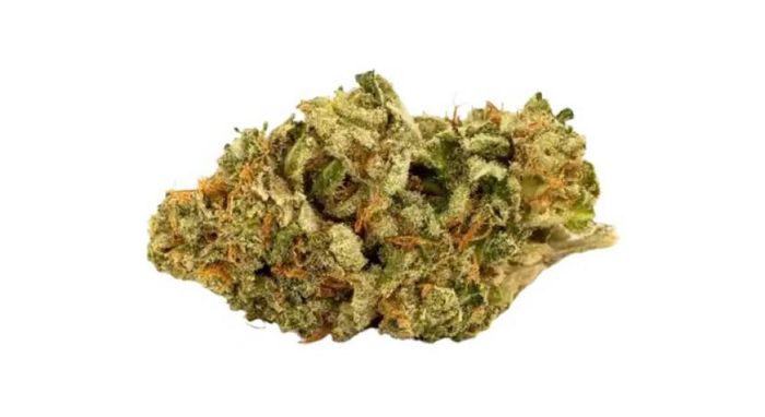 White Widow Híbrida