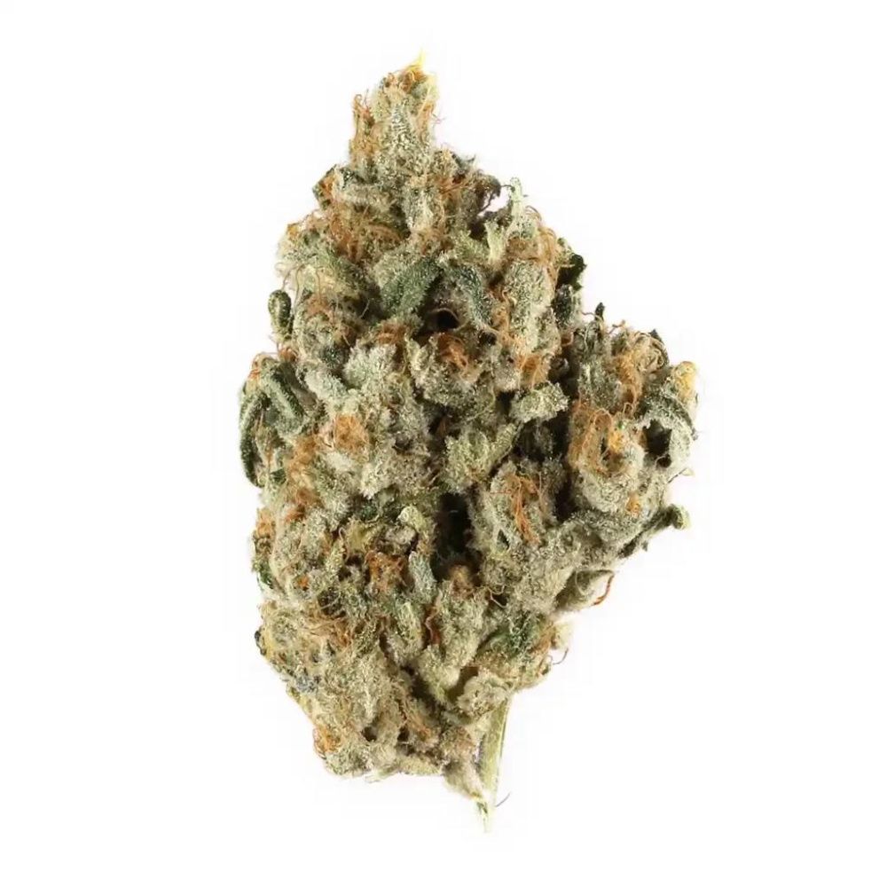 Haze Berry Sativa Dominante